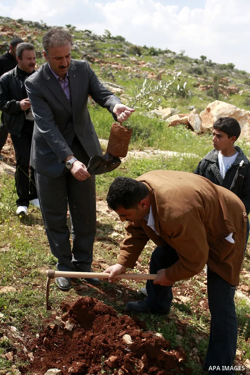 Palestinians plant trees during an event marking Land Day ,in the village of Kufr Diek , West Bank, Thursday , March 29, 2011. Land Day commemorates the killing of six Arab citizens of Israel by the Israelis on March 30,...