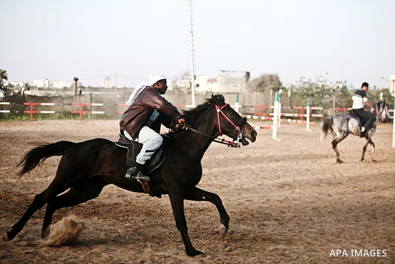 A Palestinian man rides a horse during a championship at Gaza Horse Club in Gaza Strip, 06 April 2012. The clubs is home to some 54 horses and open for the training of male and female children aged between 12 to 23 years...