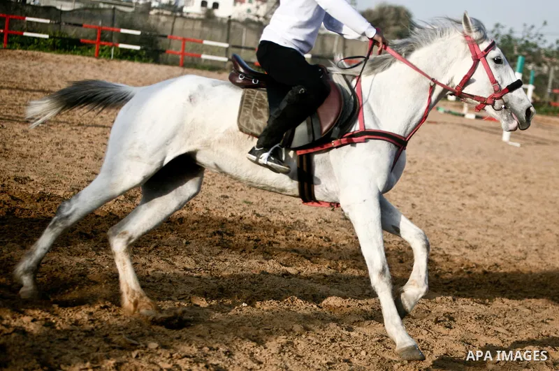 A Palestinian child rides a horse during a championship at Gaza Horse Club in Gaza Strip, 06 April 2012. The clubs is home to some 54 horses and open for the training of male and female children aged between 12 to 23 yea...