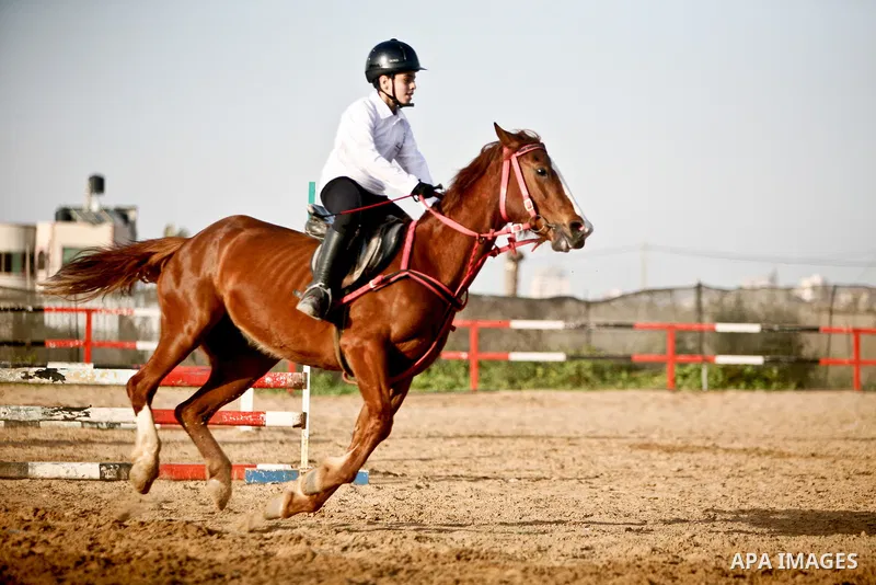 A Palestinian child rides a horse during a championship at Gaza Horse Club in Gaza Strip, 06 April 2012. The clubs is home to some 54 horses and open for the training of male and female children aged between 12 to 23 yea...