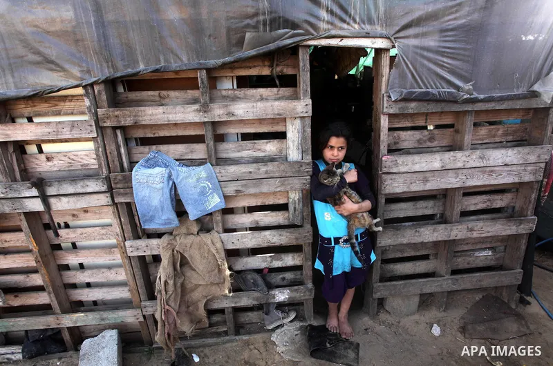 A Palestinian girl hold her cat inside her family house in a poor region of the Al-Nusirat neighborhood, central Gaza Strip on 08 April 2012. Reports from the World Bank on 06 April 2012 state that The World Banks Board...
