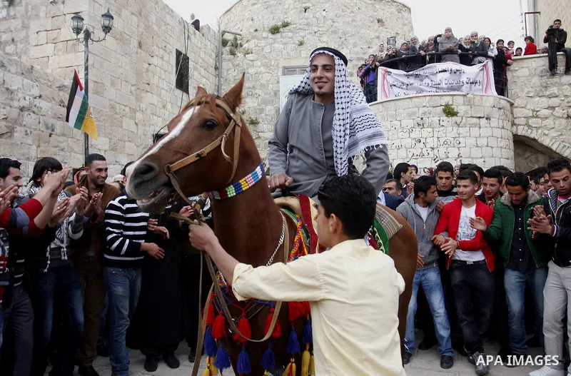 Palestinian celebrates during the wedding of the Palestinian bride and groom Maha Salam (unseen) and Thayer Qasem (unseen) in Deir Istia village the West Bank city of Nablus, on April 12, 2012. The newlyweds traveled fro...