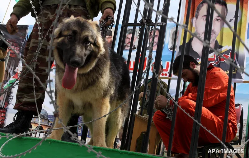 A Hamas supporter acting as a Palestinian prisoner sits in a mock cage during a rally in Jabalya, in the northern Gaza Strip, April 13, 2012, calling for the release of Palestinian prisoners from Israeli jails. Photo by...