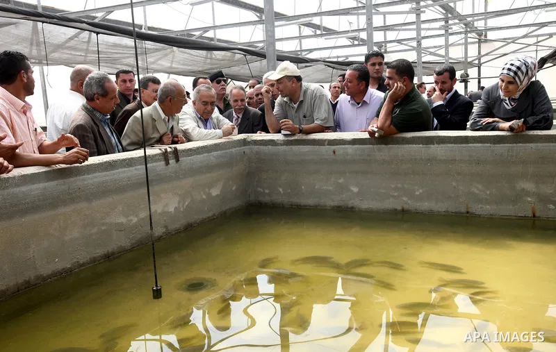 Palestinian Prime Minister, Salam Fayyad attends the opening celebration of fish farm in the Arab construction project in the outskirts of the West Bank Jordan Valley, April 16, 2012. Photo by Mustafa Abu Dayeh