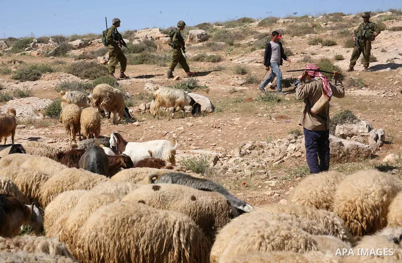 Israeli Jewish settlers look on as Israeli soldiers move Palestinian farmers and shepherds off their land to allow the settlers to farm the land near the Maaon Jewish settlement, just south of the Palestinian village of...