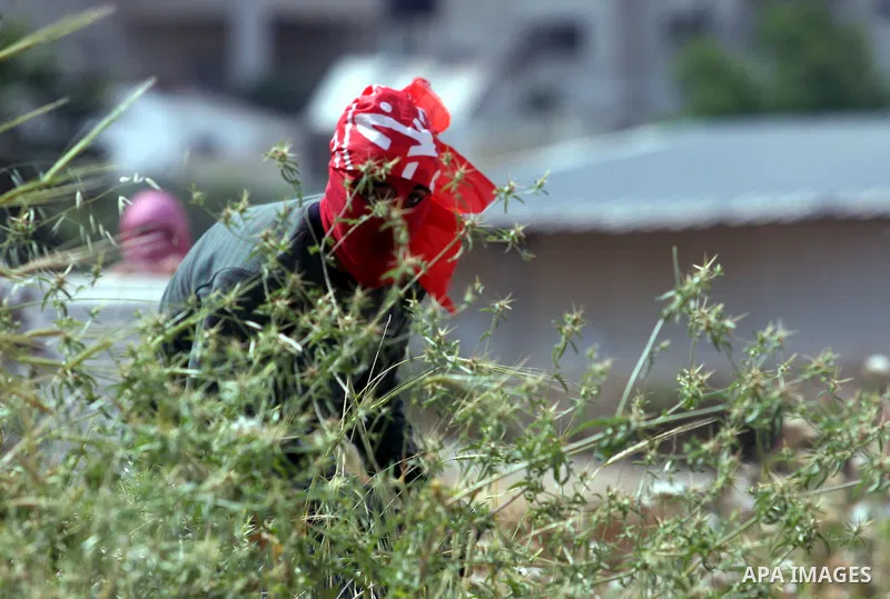 Palestinians throw stones at Israeli soldiers during clashes next to the Israeli military prison of Ofer, near Beitunia, West Bank, 02 May 2012. following a demonstration in solidarity with Palestinian prisoners held in...