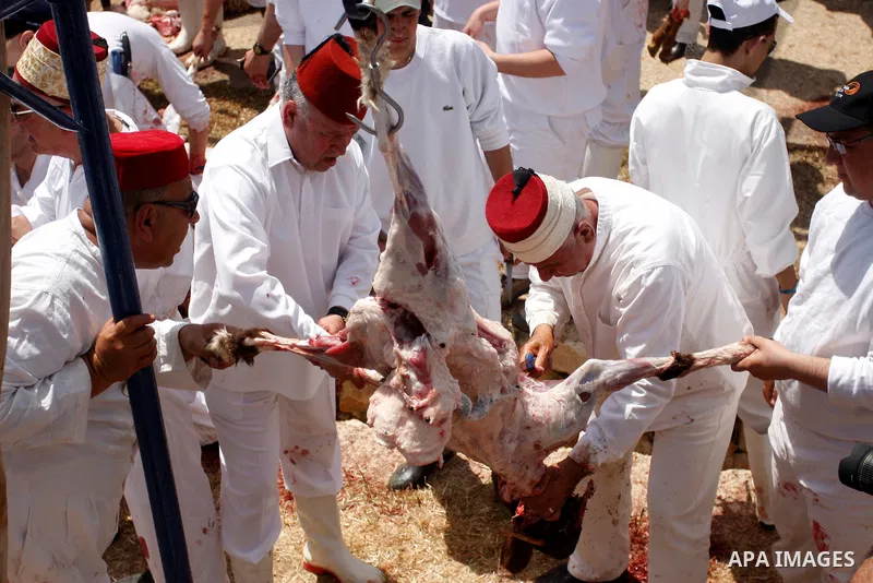 Members of the ancient Samaritan community carry a sheep to the slaughter during the traditional Passover sacrifice in Mount Gerizim, in the northern West Bank city of Nablus, 04 May 2012. According to tradition, the Sam...