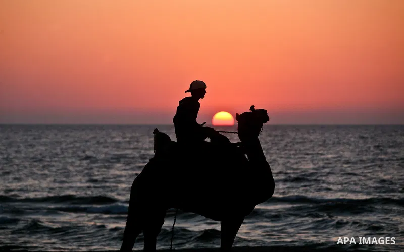 Palestinian boy ride a camel along the beach in the west of Gaza City 06 May 2012. Photo by Ali Jadallah