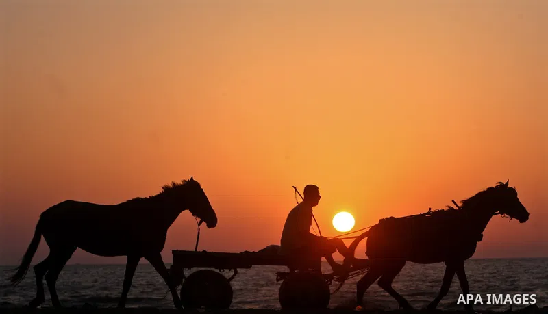 A Palestinian man drives a horse cart along the beach in Gaza City 06 May 2012. Photo by Ali Jadallah
