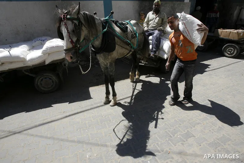 Palestinians receive monthly food aid from the United Nations Relief and Works Agency (UNRWA) center in the Rafah refugee camp, southern Gaza on May 07, 2012. The UN Agency for Palestinian Refugees (UNRWA) in Gaza launch...