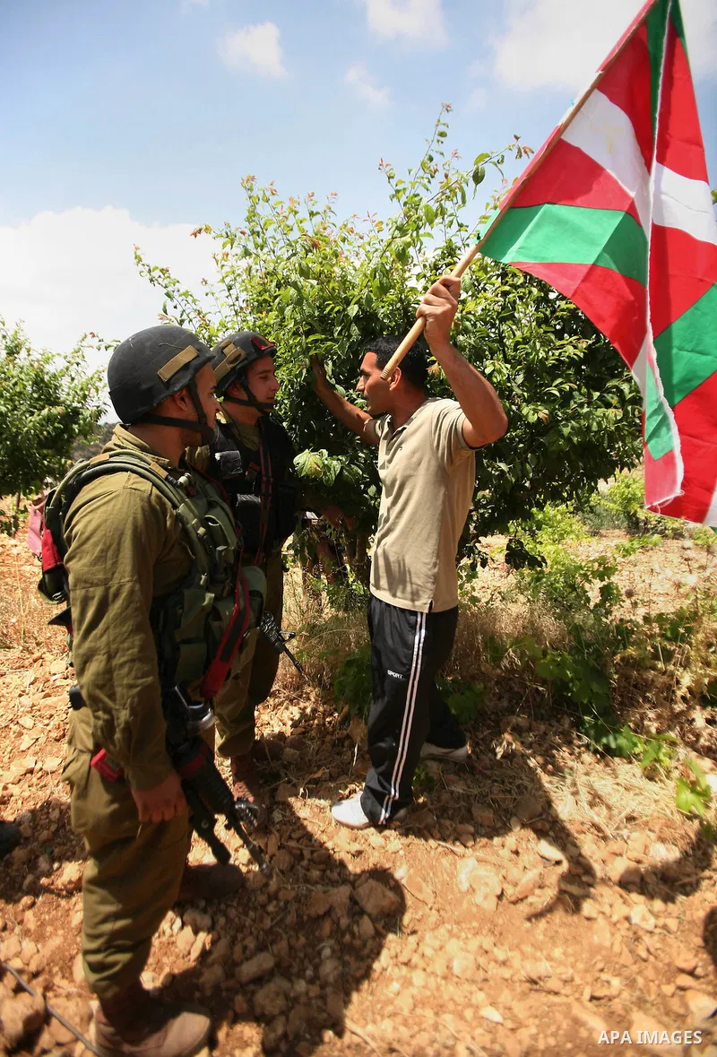 Palestinians wave their national flag during a demonstration a protest in Beit Amer village, north of the West Bank town of Hebron, on May 19, 2012 where Israeli soldiers tried to evacuate demonstrators by force and arre...
