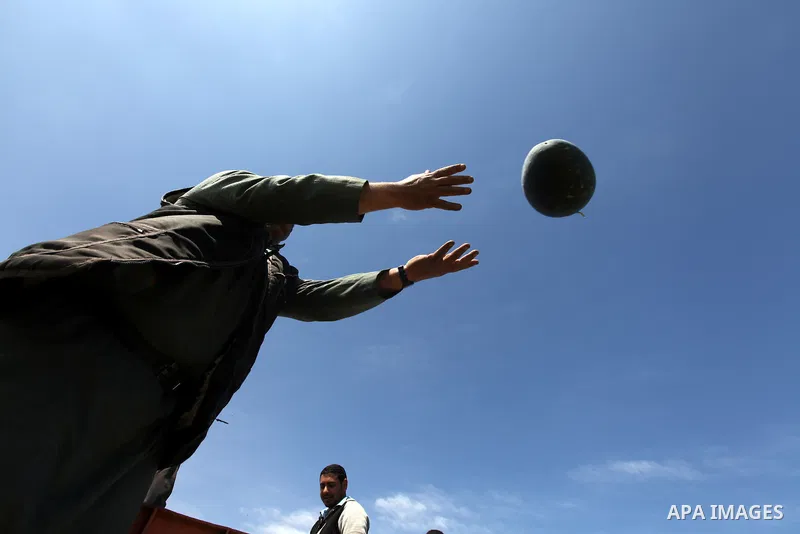 Palestinian farmers collect a watermelon crop from their fields in the city of Rafah, Southern Gaza Strip, 21 May 2012. Rafah, a city bordering Israel, is one of the largest agricultural areas in the Gaza Strip. Photo by...