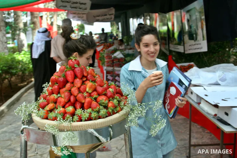 Palestinian girls participate in the opening of Palestinian agricultural festival at strawberry and roses , in the West Bank city of Nablus on May 23, 2012. Photo by Nedal Eshtayah