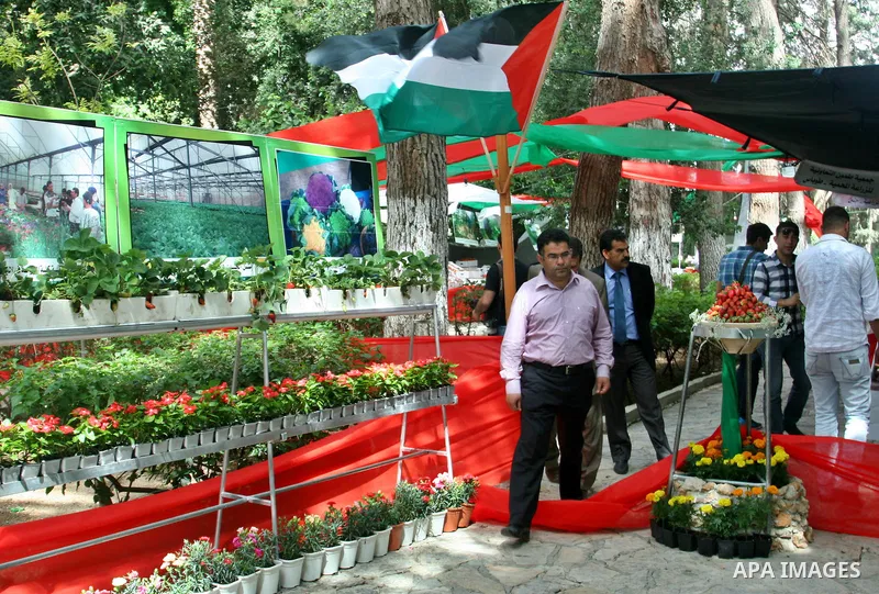 Palestinian men participate in the opening of Palestinian agricultural festival at strawberry and roses , in the West Bank city of Nablus on May 23, 2012. Photo by Nedal Eshtayah