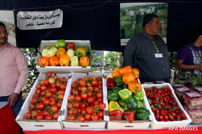 Palestinians participate in the opening of Palestinian agricultural festival at strawberry and roses , in the West Bank city of Nablus on May 23, 2012. Photo by Wagdi Eshtayah