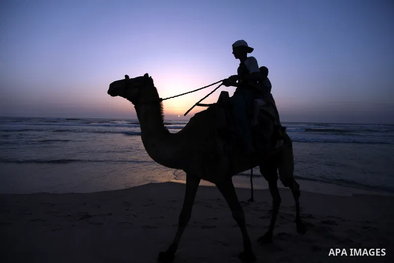 Palestinians ride their camels during sunset on the beach of Gaza City on May 24, 2012. Gaza beach is the only outlet for the Palestinians after tightening the Israeli blockade on the Gaza Strip. Photo by Majdi Fathi