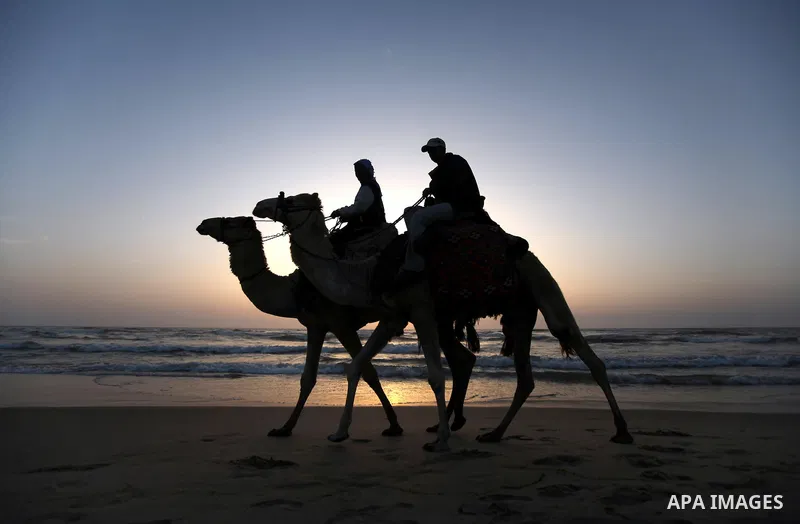 Palestinians ride their camels during sunset on the beach of Gaza City on May 24, 2012. Gaza beach is the only outlet for the Palestinians after tightening the Israeli blockade on the Gaza Strip. Photo by Majdi Fathi