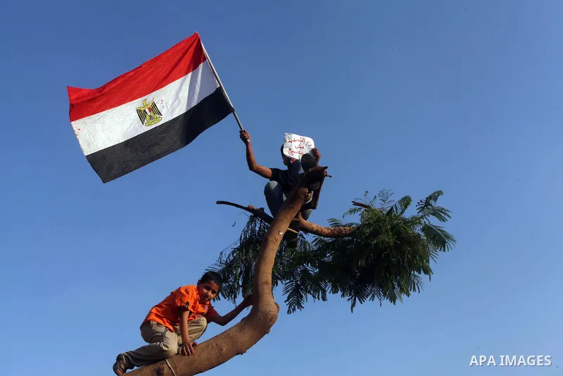 Protesters wave Egypt's flags during a demonstration at Tahrir square in Cairo, against the verdict for deposed leader Hosni Mubarak June 4, 2012. Egyptian pro-democracy campaigners called on Sunday for a new uprising, s...