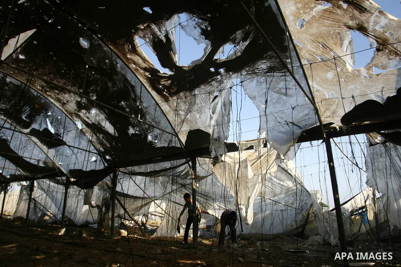Palestinians inspect the damage at a chicken farm in in the southern Gaza Strip town of Rafah on June 5, 2012 following an Israeli air strike on the Gaza Strip. Photo by Eyad Al Baba
