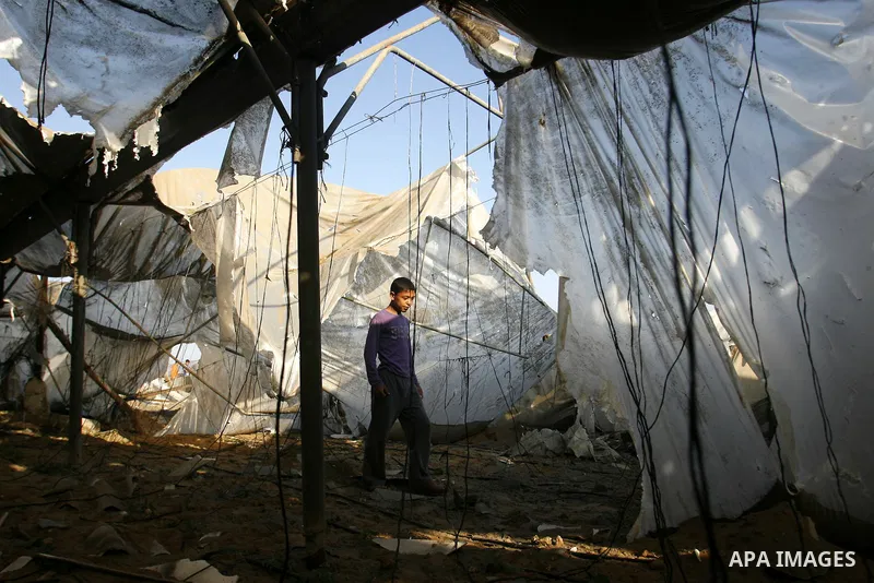 Palestinians inspect the damage at a chicken farm in in the southern Gaza Strip town of Rafah on June 5, 2012 following an Israeli air strike on the Gaza Strip. Photo by Eyad Al Baba