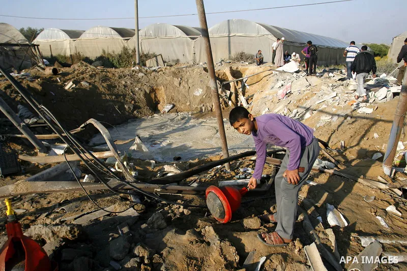 Palestinians inspect the damage at a chicken farm in in the southern Gaza Strip town of Rafah on June 5, 2012 following an Israeli air strike on the Gaza Strip. Photo by Eyad Al Baba