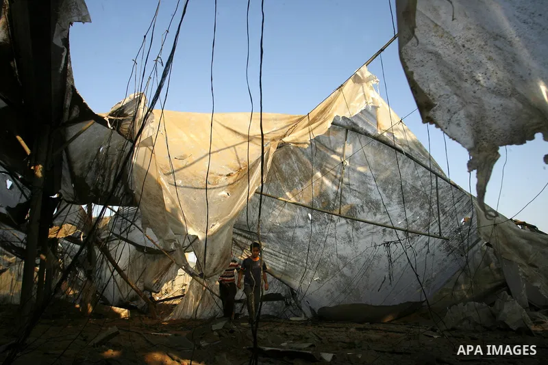 Palestinians inspect the damage at a chicken farm in in the southern Gaza Strip town of Rafah on June 5, 2012 following an Israeli air strike on the Gaza Strip. Photo by Eyad Al Baba