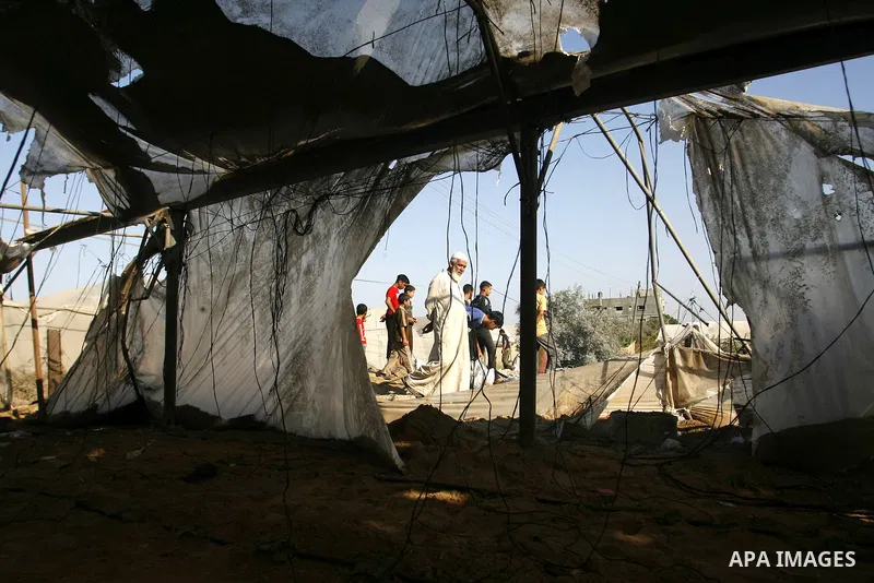 Palestinians inspect the damage at a chicken farm in in the southern Gaza Strip town of Rafah on June 5, 2012 following an Israeli air strike on the Gaza Strip. Photo by Eyad Al Baba