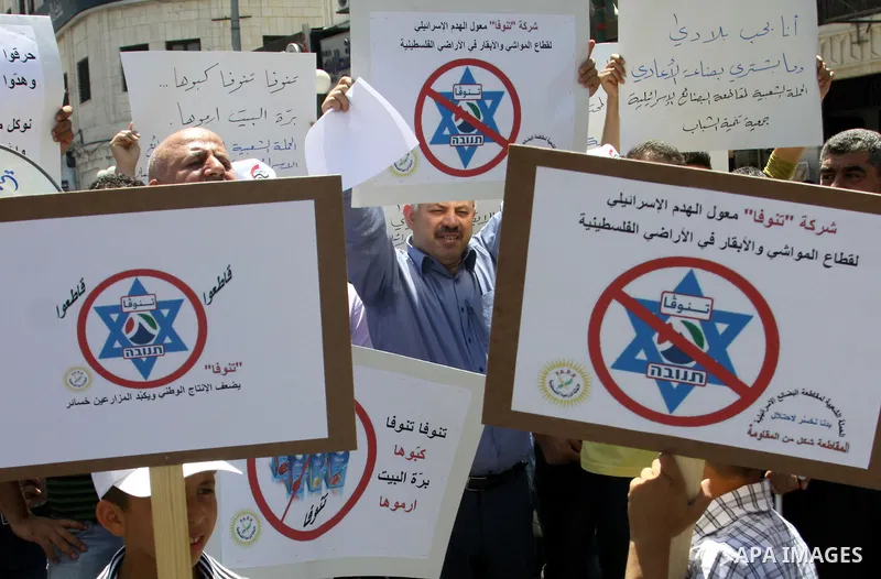 Palestinians demonstrate for a boycott of Israeli goods and support national products during a protest in the West Bank city of Nablus,on June 9,2012. Photo by Nedal Shtieh