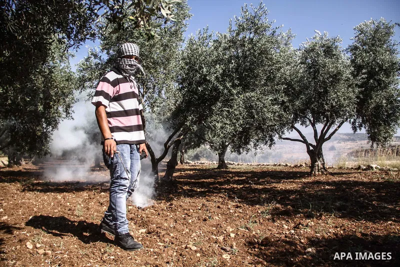 Palestinian demonstrators and Israeli forces clash after a protest by Palestinians calling for the return of displaced Palestinians to their villages occupied by Israel in 1967, in the West Bank village of Beit Nuba, nea...