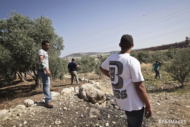 June 9, 2012 - Beit Nuba, West Bank - On the 45th commemoration of Naksa, the Popular Struggle Coordination Commitee have organized a march toward the Latroon destroyed villages of Yalu, Omwas and Beit Nuba. .Clashes wit...