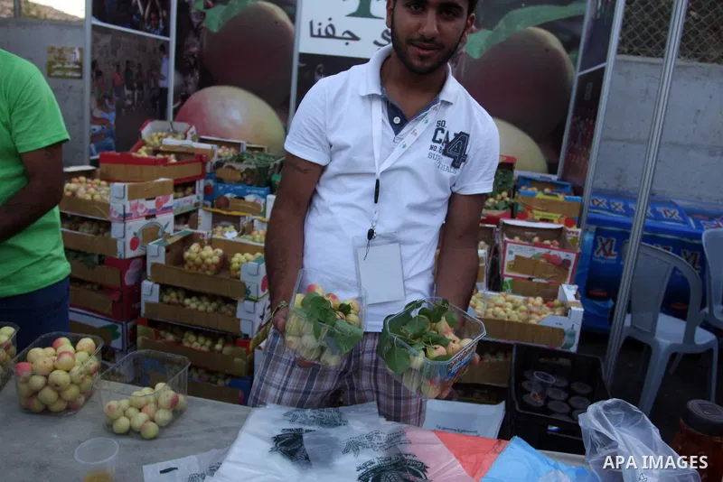 A Palestinian vendor decorates apricots during the opening of "Apricot Exhibition" in the village of Jaffna in the West Bank city of Ramallah, Thursday June 14, 2012. Photo by Issam Rimawi