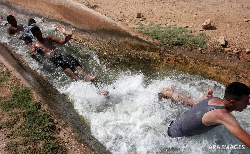 Palestinians cool off in the water of a natural spring known as Ein al-Auja, near the West Bank city of Jericho June 16, 2012. Photo by Issam Rimawi