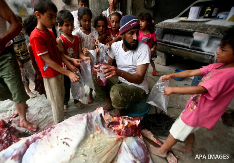 Palestinian children receive bags of horse meet in a poor neighborhood in the central Gaza Strip on 15 June 2012. The people of the poor neighborhood in the center of Gaza strip slaughter horses every twenty days, and di...