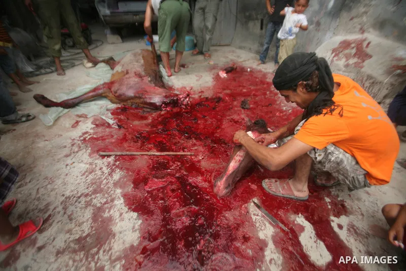 Palestinian man cuts the body of a horse after it was slaughtered for meat in a poor neighborhood in the central Gaza Strip on 15 June 2012. The people of the poor neighborhood in the center of Gaza strip slaughter horse...