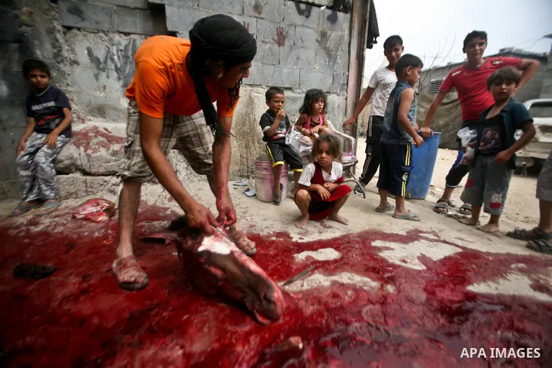 Palestinian man cuts the body of a horse after it was slaughtered for meat in a poor neighborhood in the central Gaza Strip on 15 June 2012. The people of the poor neighborhood in the center of Gaza strip slaughter horse...