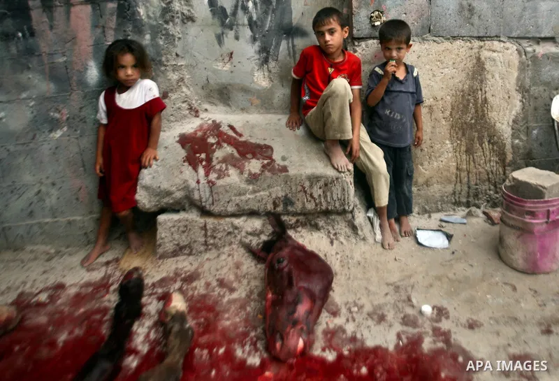 Palestinian children stand next to the body of a horse after it was slaughtered for meat in a poor neighborhood in the central Gaza Strip on 15 June 2012. The people of the poor neighborhood in the center of Gaza strip s...