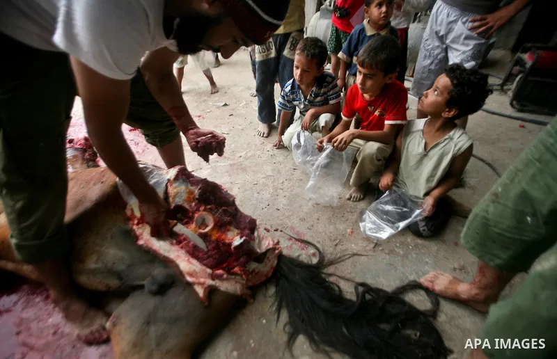 Palestinian man cuts the body of a horse after it was slaughtered for meat in a poor neighborhood in the central Gaza Strip on 15 June 2012. The people of the poor neighborhood in the center of Gaza strip slaughter horse...