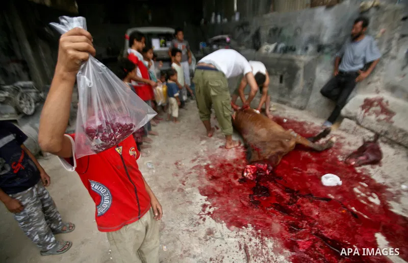 Palestinian children receive bags of horse meet in a poor neighborhood in the central Gaza Strip on 15 June 2012. The people of the poor neighborhood in the center of Gaza strip slaughter horses every twenty days, and di...