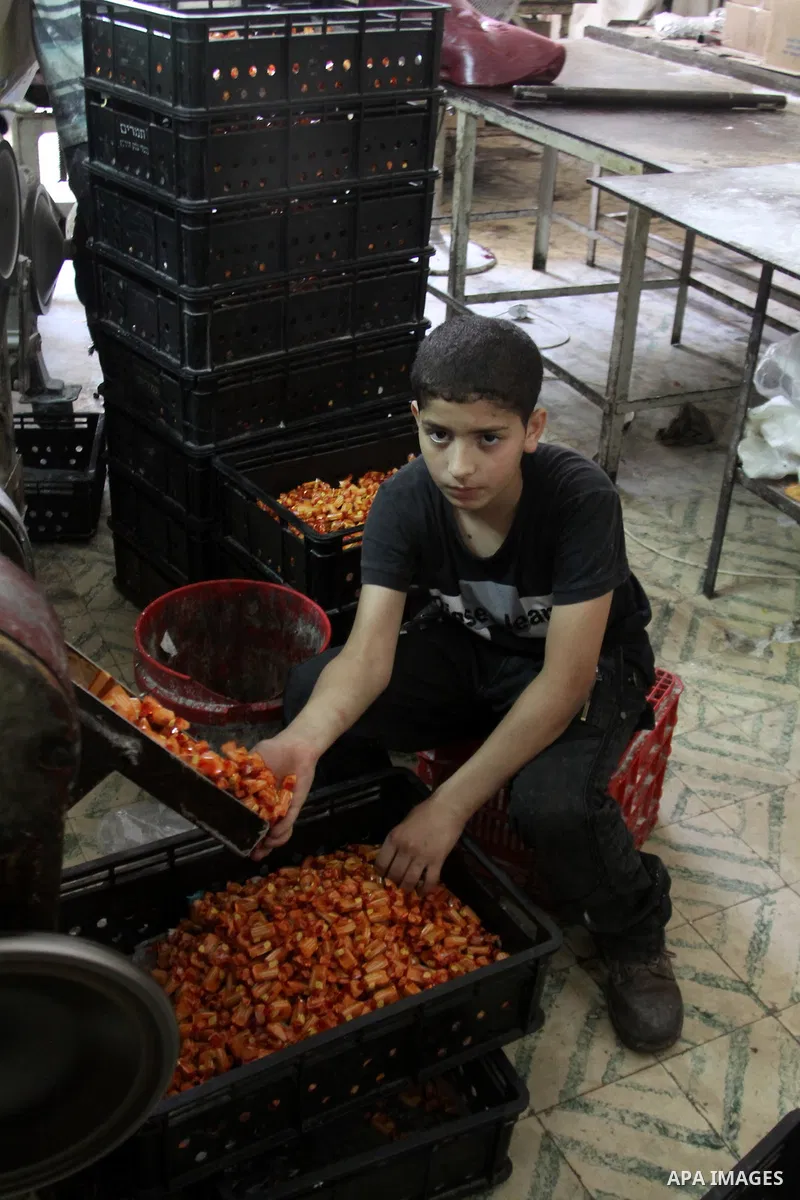 Palestinian labourers work at a factory for making a kind of candy " Toffee" in the West Bank city of Nablus on July 26, 2012. Photo by Nedal Eshtayah