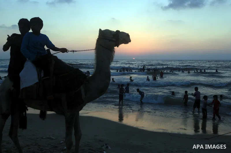 Palestinians ride a camel as others enjoy swimming in the sea on Gaza's beach on 27 June 2012 in Gaza. Photo by Majdi Fathi