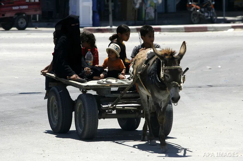 Palestinians walk on the cart during a demonstration demands to release them, in the southern Gaza Strip town of Rafah on July 05, 2012. Photo by Eyad Al Baba