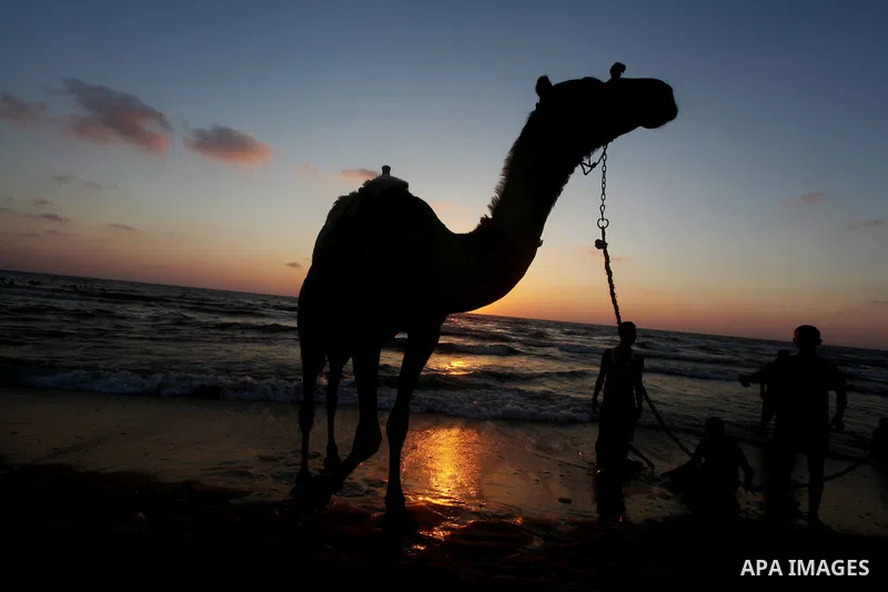 A Palestinian man rides a camel on the beach on their week-end in the Mediterranean port of Gaza on July 06, 2012. Photo by Ashraf Amra