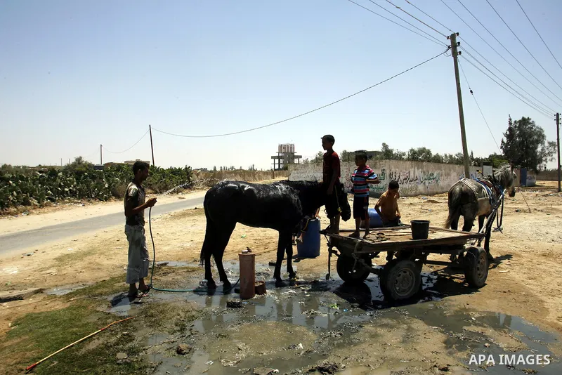 Palestinians wash their horse in the street during hot weather and high temperature in the southern Gaza Strip town of Rafah on July 12, 2012. Photo by Eyad Al Baba