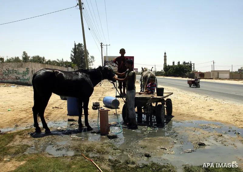 Palestinians wash their horse in the street during hot weather and high temperature in the southern Gaza Strip town of Rafah on July 12, 2012. Photo by Eyad Al Baba