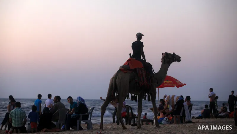 A Palestinian man ride a camel at Gaza beach during hot weather in Gaza city, July 16, 2012. The temperature of the Gaza strip reaches more than 33 degrees Celsius and 61% humidity, Gazans escape to the beach and out fro...