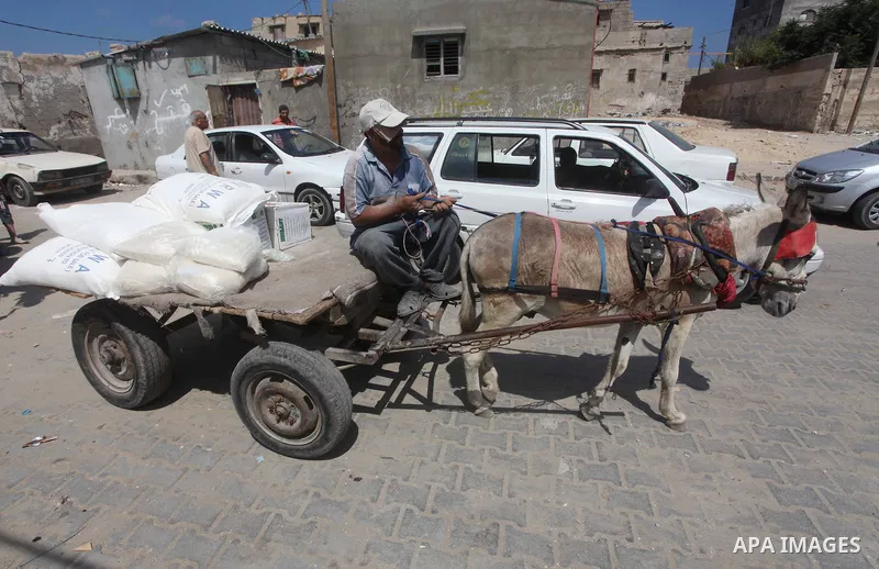 A Palestinian youth carries a sack of flour at a UN Relief and Works Agency (UNRWA) warehouse in the Shati refugee camp, in Gaza City, on Aug. 05, 2012. UNRWA launched Sunday its Gaza Ramadan Appeal for 5000 food parcels...