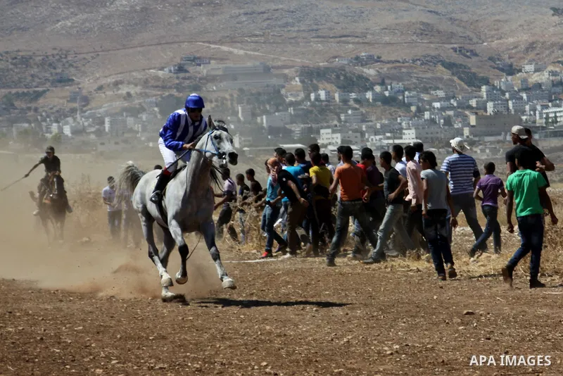 Palestinian jockeys ride their horses during a race in the West Bank city of Nablus on Aug 21, 2012. Hundreds of Palestinians from all over the West Bank gathered to follow the horse race on Tuesday in the northern West...