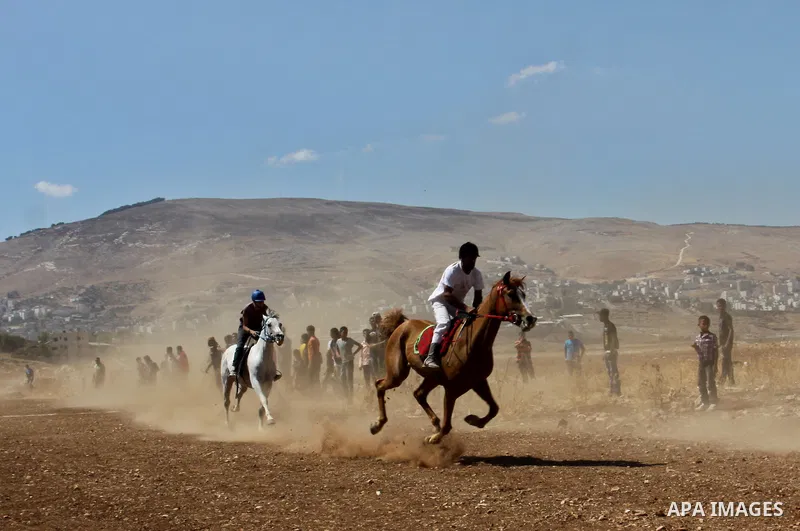 Palestinian jockeys ride their horses during a race in the West Bank city of Nablus on Aug 21, 2012. Hundreds of Palestinians from all over the West Bank gathered to follow the horse race on Tuesday in the northern West...