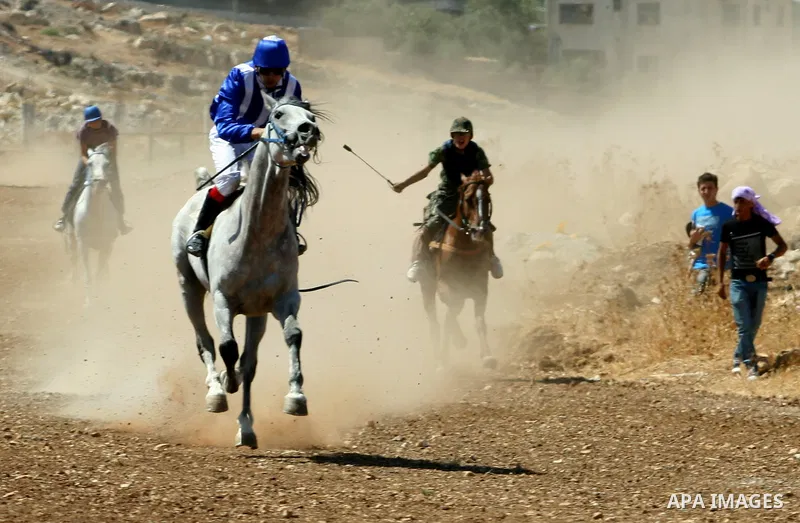 Palestinian jockeys ride their horses during a race in the West Bank city of Nablus on Aug 21, 2012. Hundreds of Palestinians from all over the West Bank gathered to follow the horse race on Tuesday in the northern West...