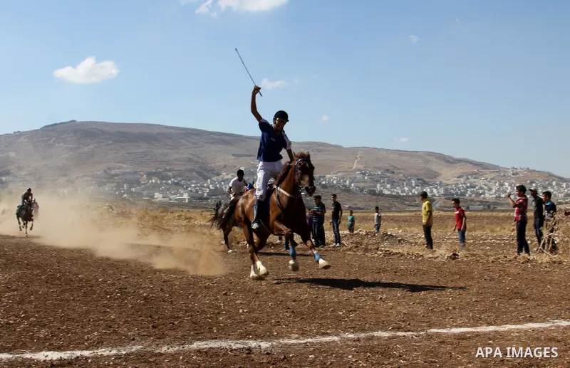 Palestinian jockeys ride their horses during a race in the West Bank city of Nablus on Aug 21, 2012. Hundreds of Palestinians from all over the West Bank gathered to follow the horse race on Tuesday in the northern West...